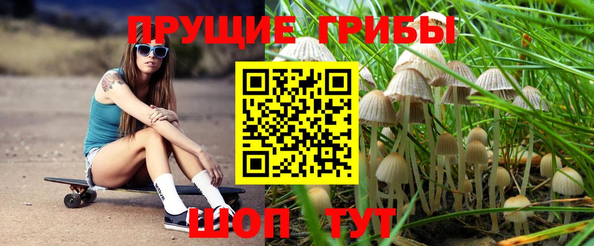 Псилоцибиновые грибы прущие грибы Лабытнанги