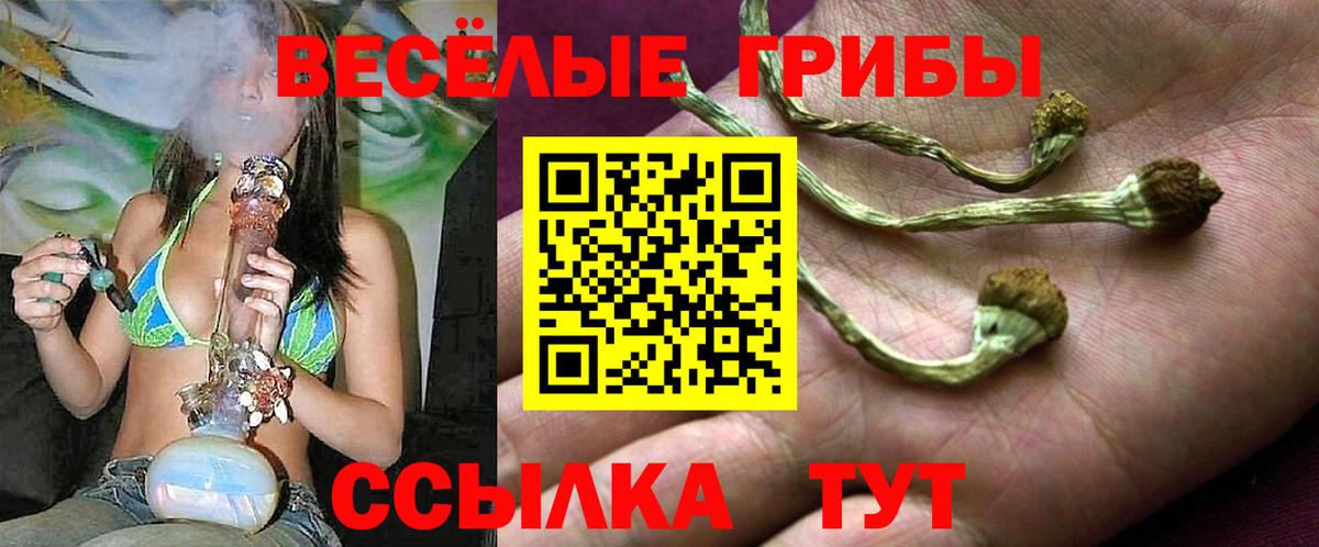 Лабытнанги  Псилоцибиновые грибы ЛСД  где найти   Вход с VPN 